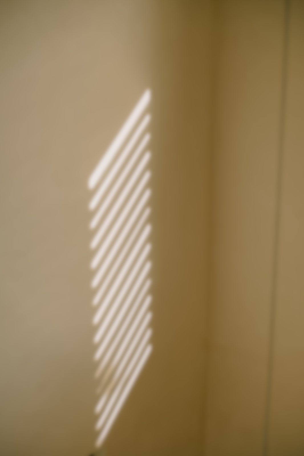 Sunlight falling across a plaster wall